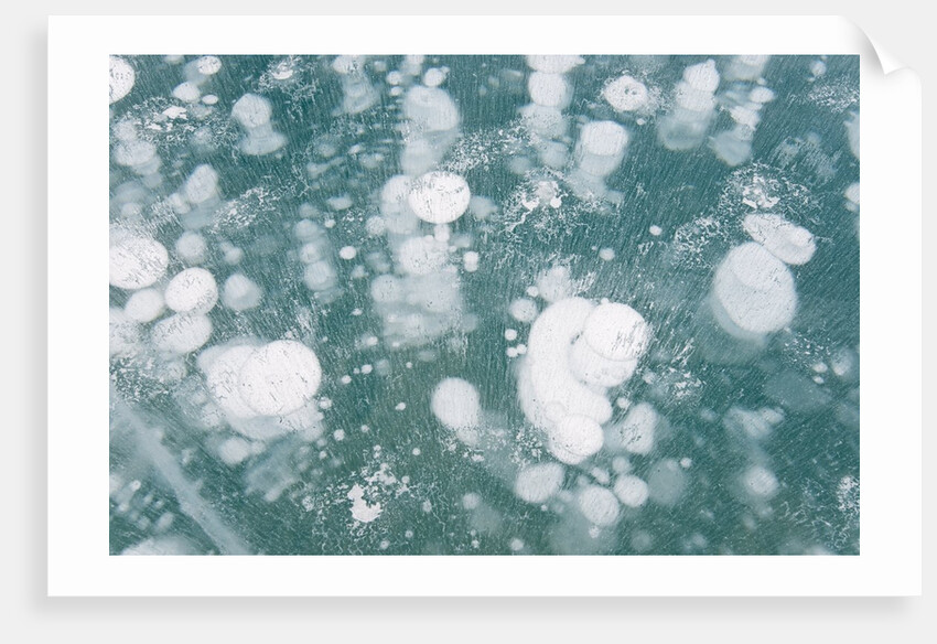 Ice Bubbles by Anonymous