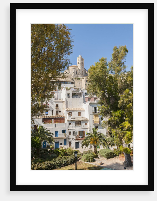 Balearic Islands - view of Dalt Vila (the old town) and the Cathedral by Anonymous