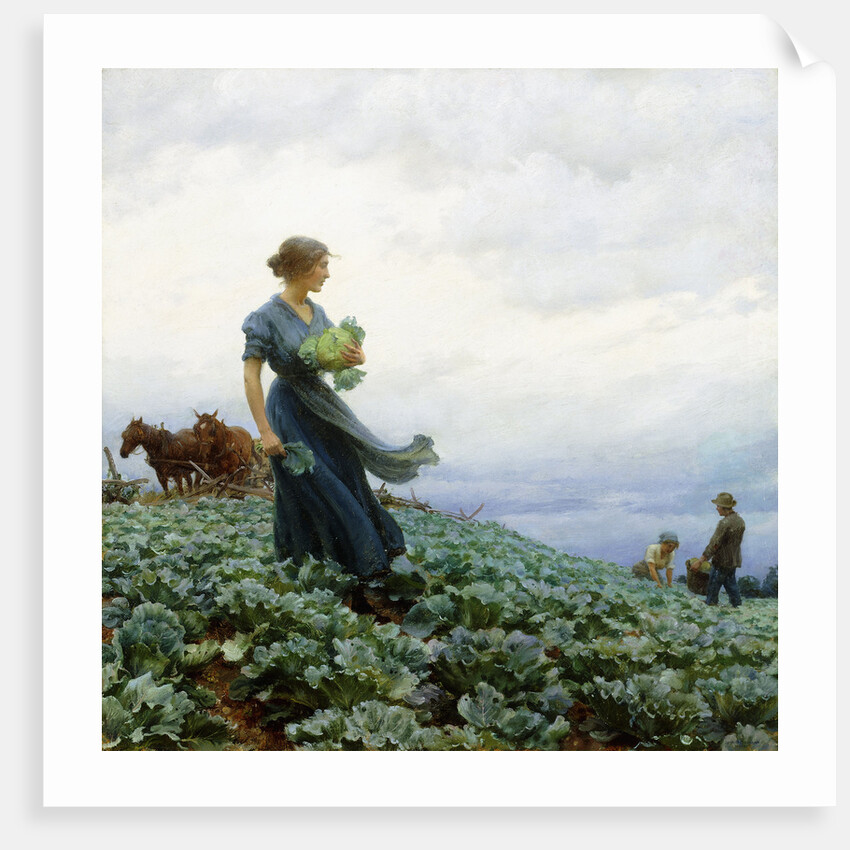 The Cabbage Field by Charles Courtney Curran