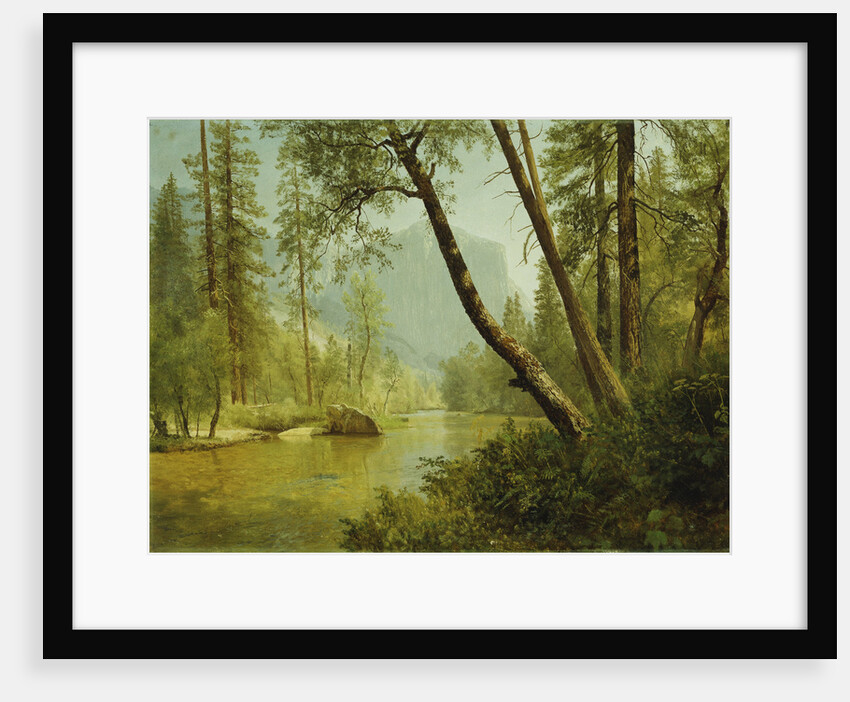 Sunlit Forest (Merced River, Yosemite Valley) by Albert Bierstadt