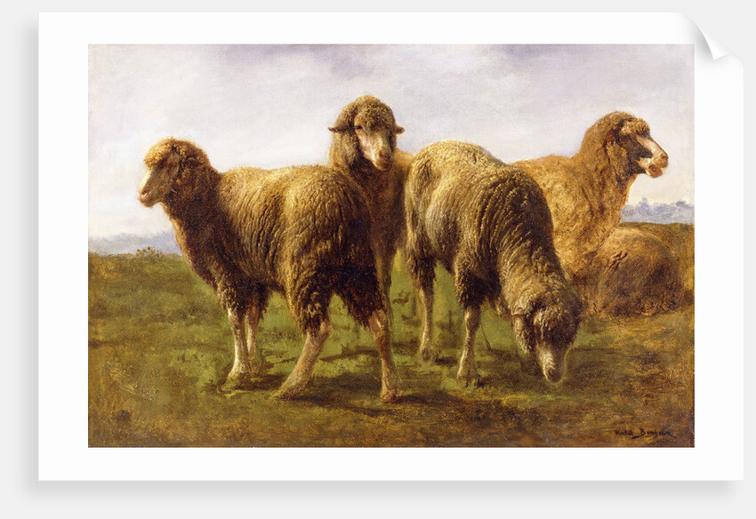 Sheep Grazing in a Meadow by Rosa Bonheur