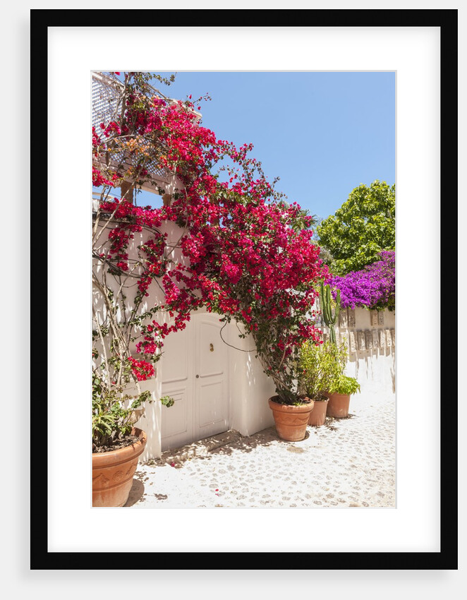 Balearic Islands - view of the old town by Anonymous