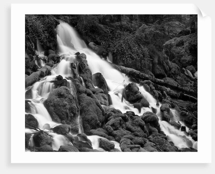Clearwater Falls by Anonymous