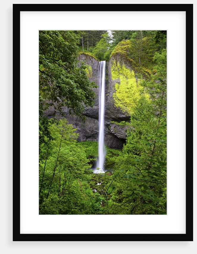 Latourell falls, in Columbia River Gorge National Scenic Area, Oregon by Anonymous