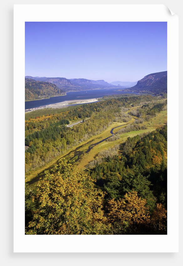Looking East up the Columbia River, Columbia River Gorge National Scenic Area, Oregon by Anonymous
