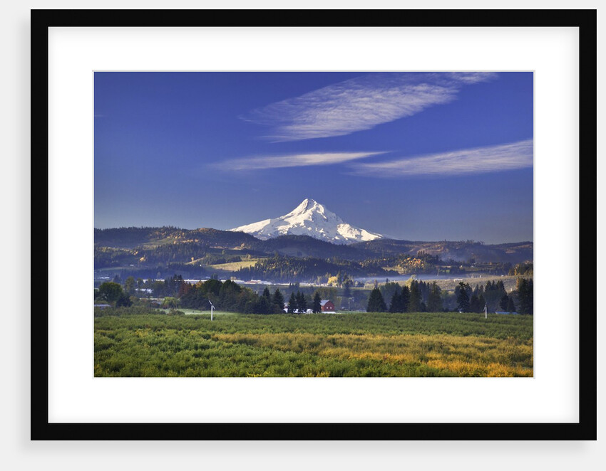 Mt. Hood, Hood River Valley, Columbia River Gorge National Scenic Area, Oregon by Anonymous