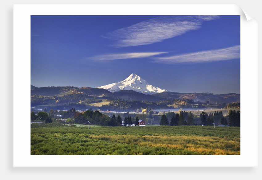 Mt. Hood, Hood River Valley, Columbia River Gorge National Scenic Area, Oregon by Anonymous