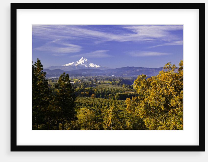 Mt. Hood, Hood River Valley, Columbia River Gorge National Scenic Area, Oregon by Anonymous