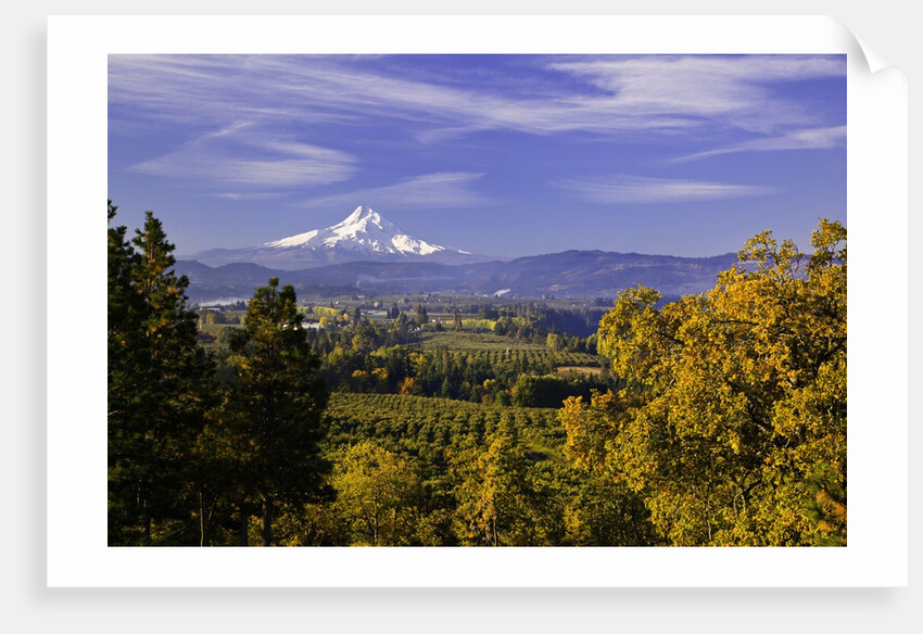 Mt. Hood, Hood River Valley, Columbia River Gorge National Scenic Area, Oregon by Anonymous