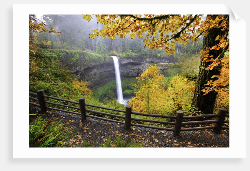Fall colors add beauty to South Silver Falls, Silver Falls State Park, Oregon by Anonymous
