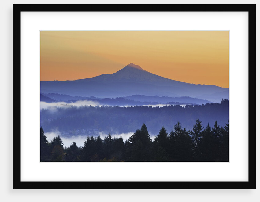 Sunrise through morning fog adds beauty to Happy Valley, Oregon, Pacific Northwest by Anonymous