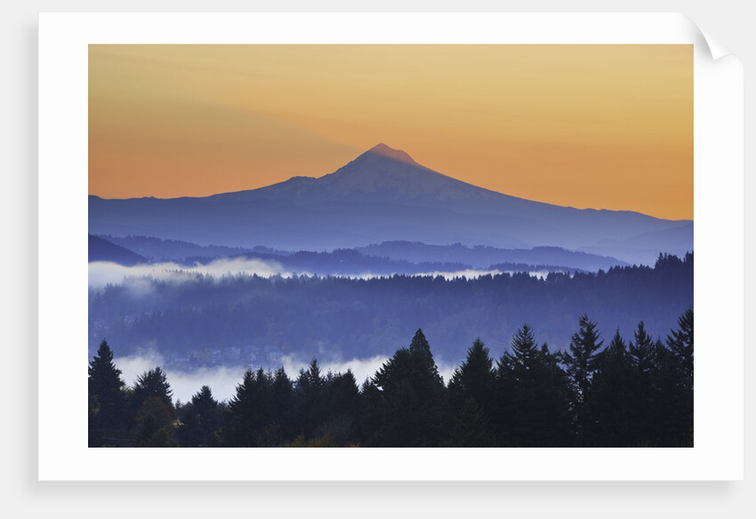 Sunrise through morning fog adds beauty to Happy Valley, Oregon, Pacific Northwest by Anonymous