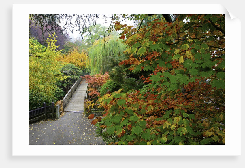 Fall colors, Crystal Spring Garden, Portland, Oregon by Anonymous