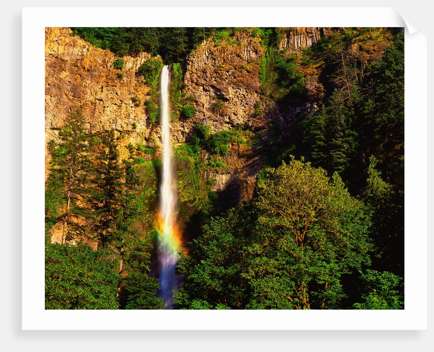 Multnomah Falls rainbow by Anonymous