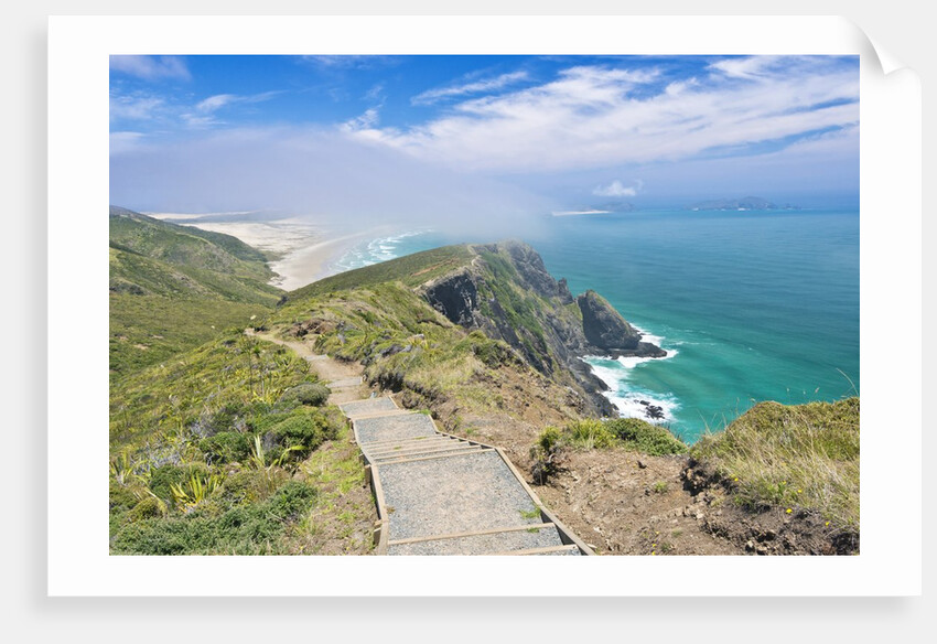 Te Werahi Beach Track by Anonymous