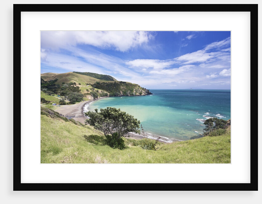 Fletcher Bay by Anonymous
