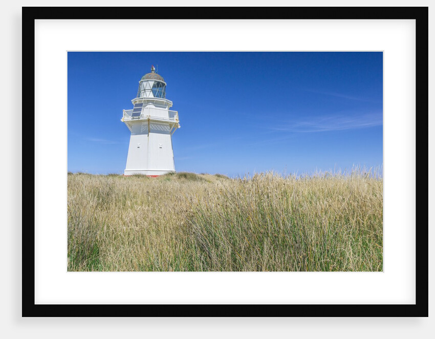Waipapa Lighthouse by Anonymous