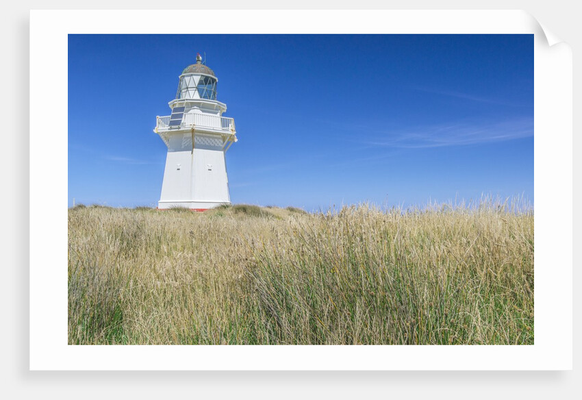 Waipapa Lighthouse by Anonymous