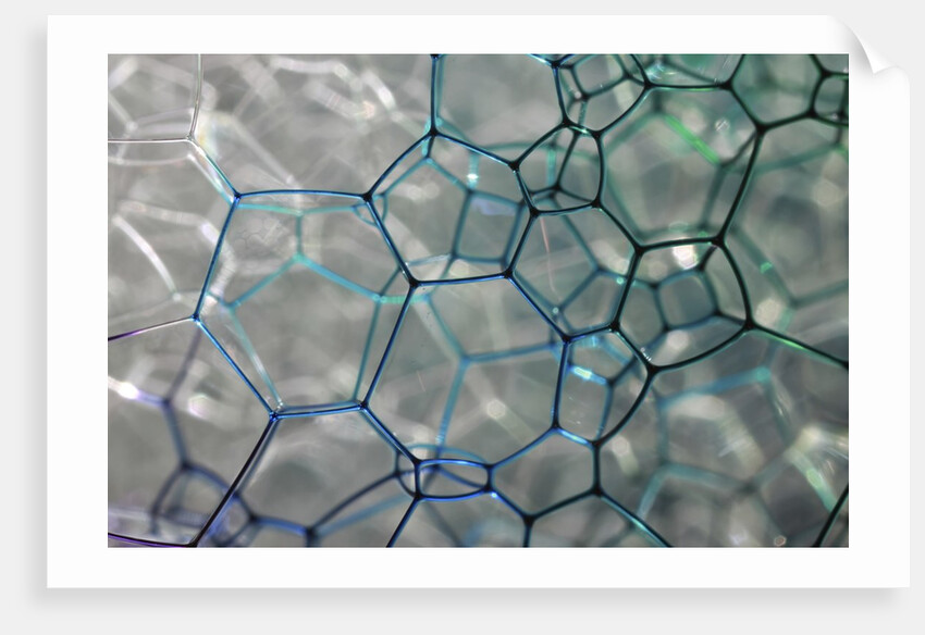 Close-up Patterns in Soap Bubbles by Anonymous