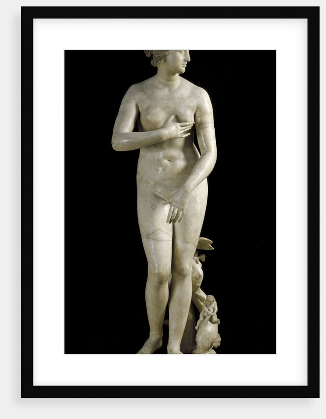The Medici Venus - Marble copy of Greek sculpture by Anonymous
