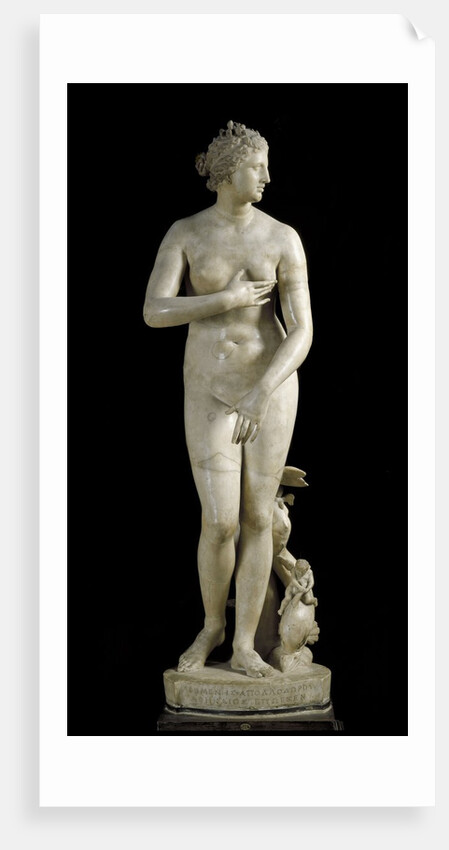 The Medici Venus - Marble copy of Greek sculpture by Anonymous