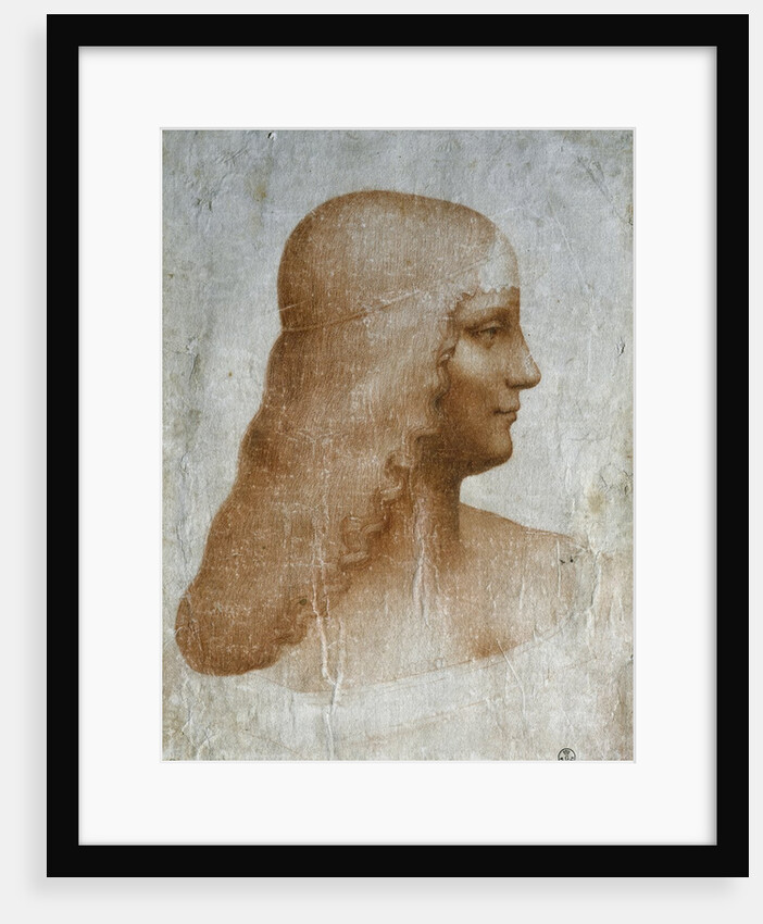 Portrait of Isabella d'Este - Drawing by Leonardo da Vinci