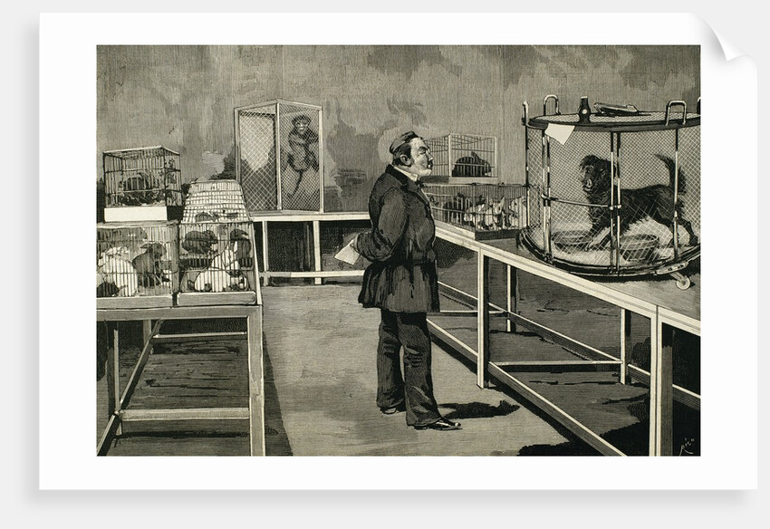 PASTEUR, Louis (1822-1895). Pasteur observes the effects of inoculation of rabies virus. by Anonymous