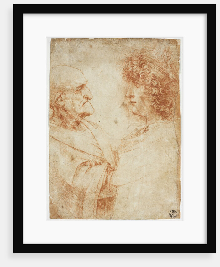 Drawing of an Old Man and a Youth by Leonardo da Vinci