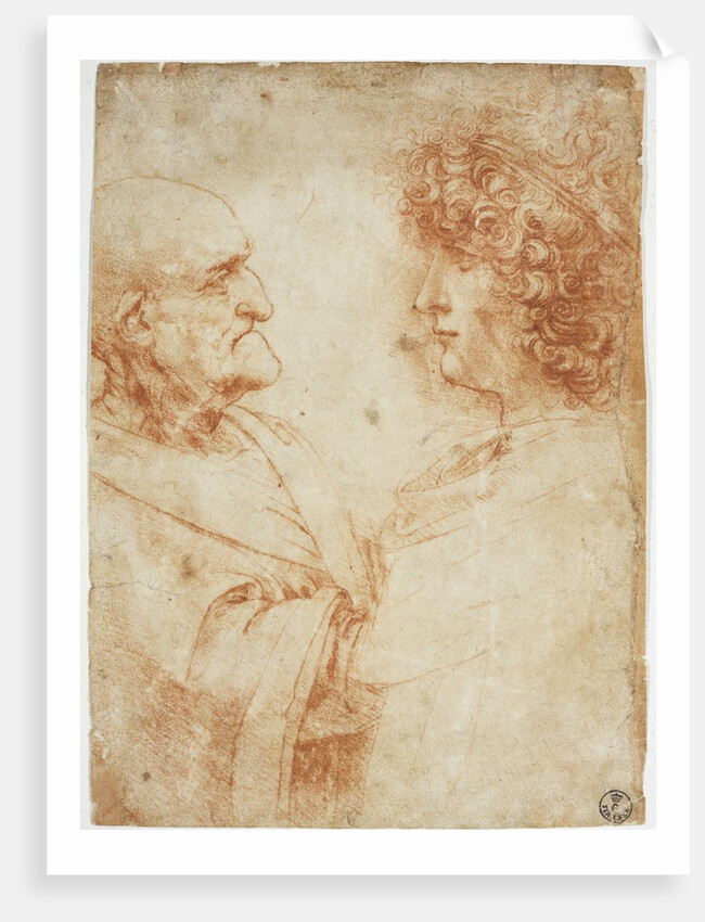 Drawing of an Old Man and a Youth by Leonardo da Vinci