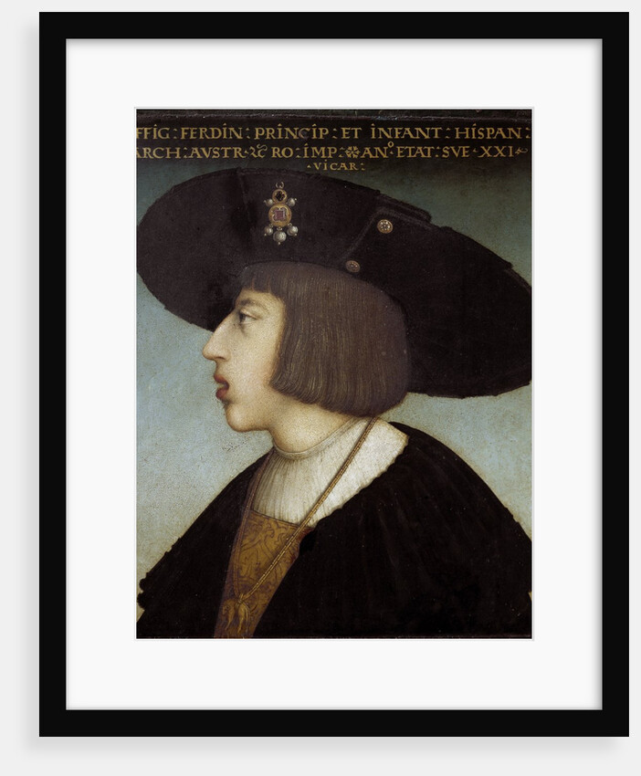 Portrait of Ferdinand I by Hans Maler zu Schwaz