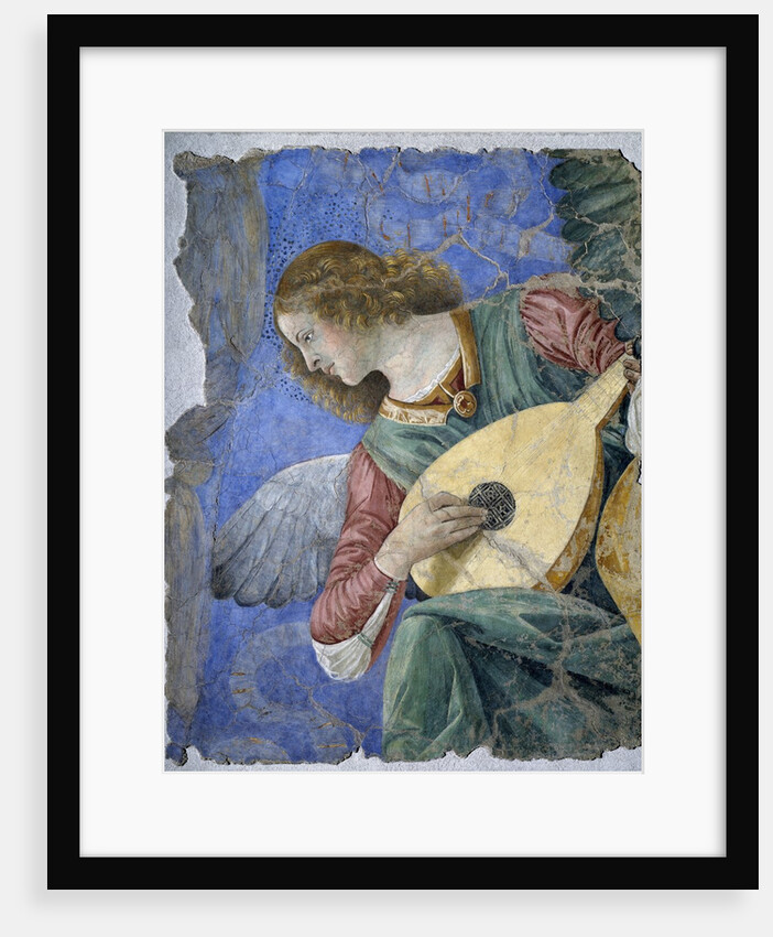 Musical Angel or Angel Musician by Melozzo da Forli