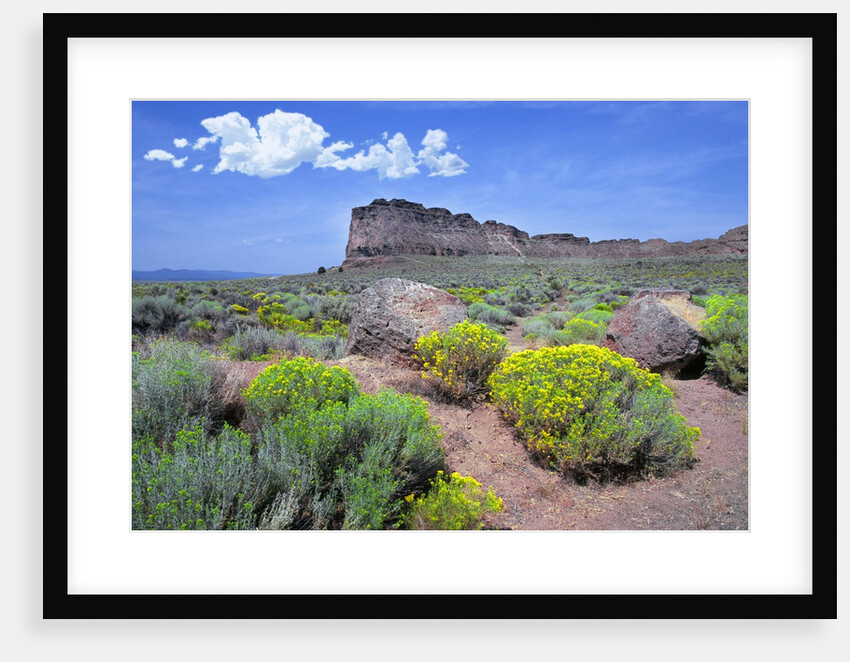 Fort Rock, Oregon by Anonymous