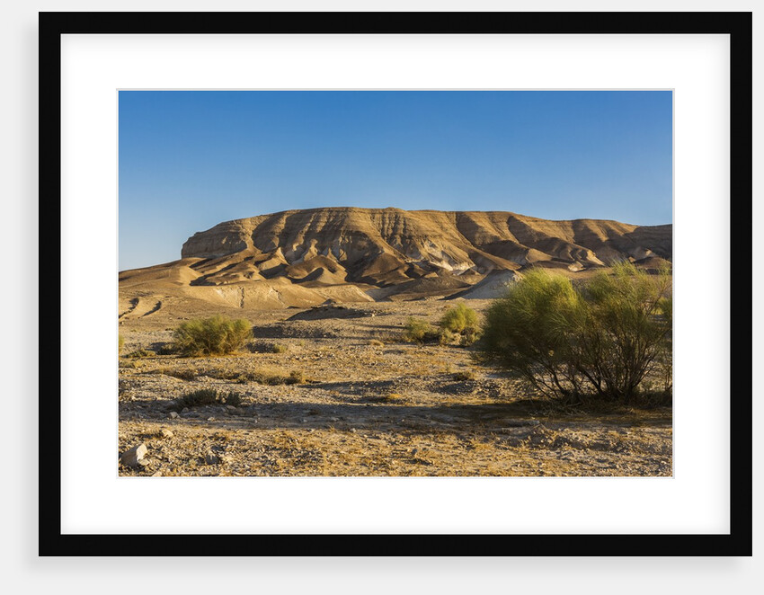 Negev Desert, landscape by Anonymous