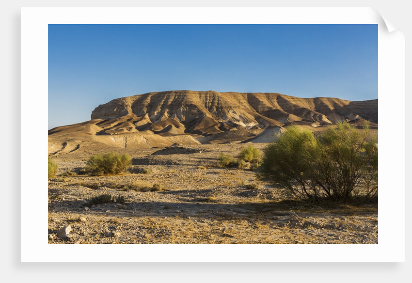 Negev Desert, landscape by Anonymous