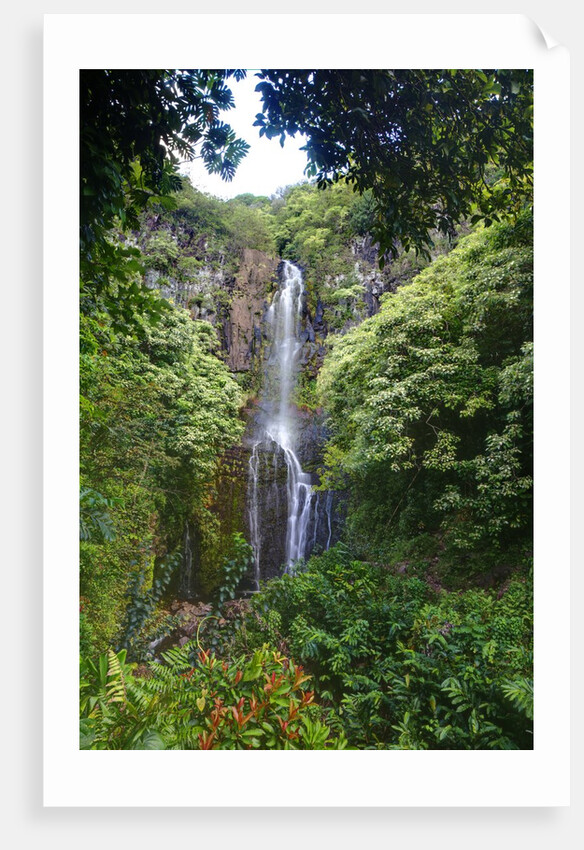 Waterfall along the Hana Highway by Anonymous