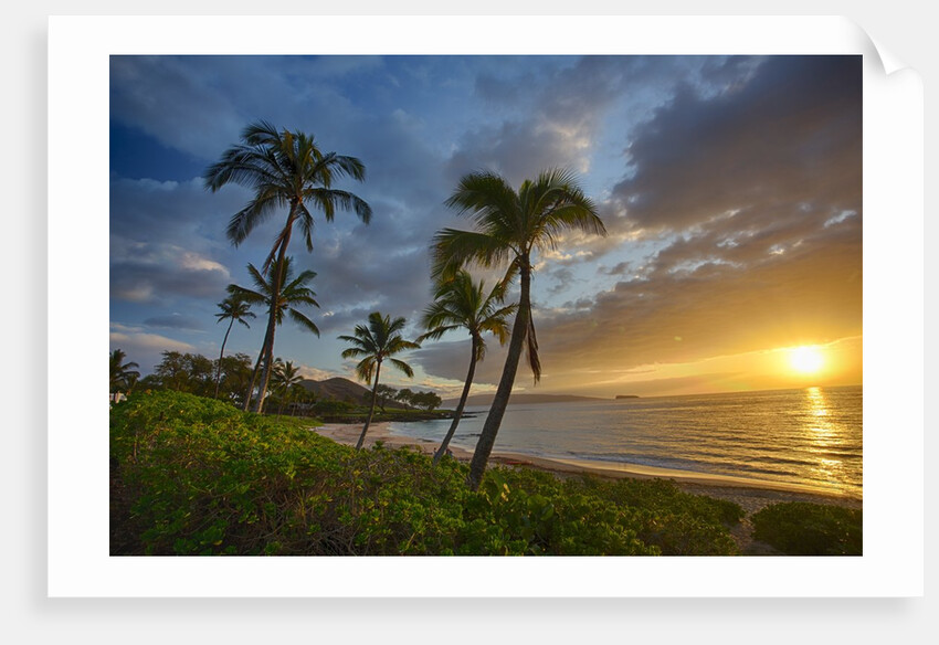 Sunset on Southern Maui Beach with Palm Trees by Anonymous