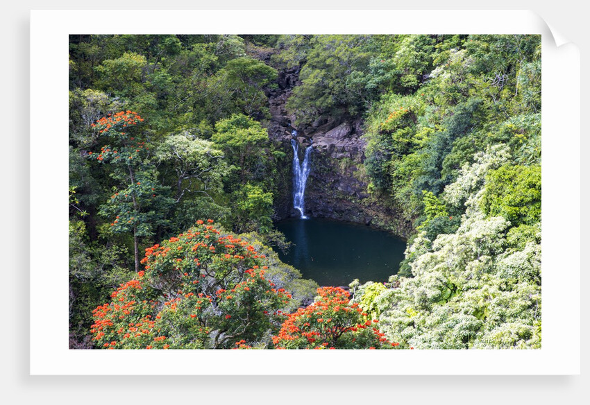 Waterfall along the Hana Highway by Anonymous