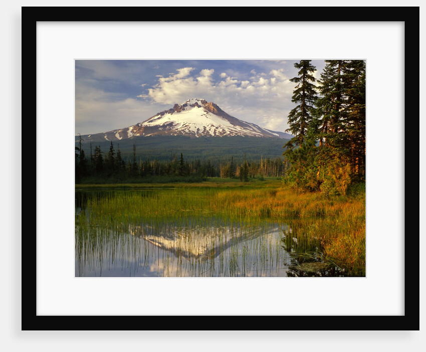 Mt. Hood reflection by Anonymous