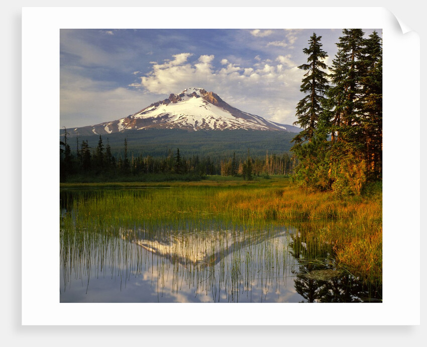 Mt. Hood reflection by Anonymous