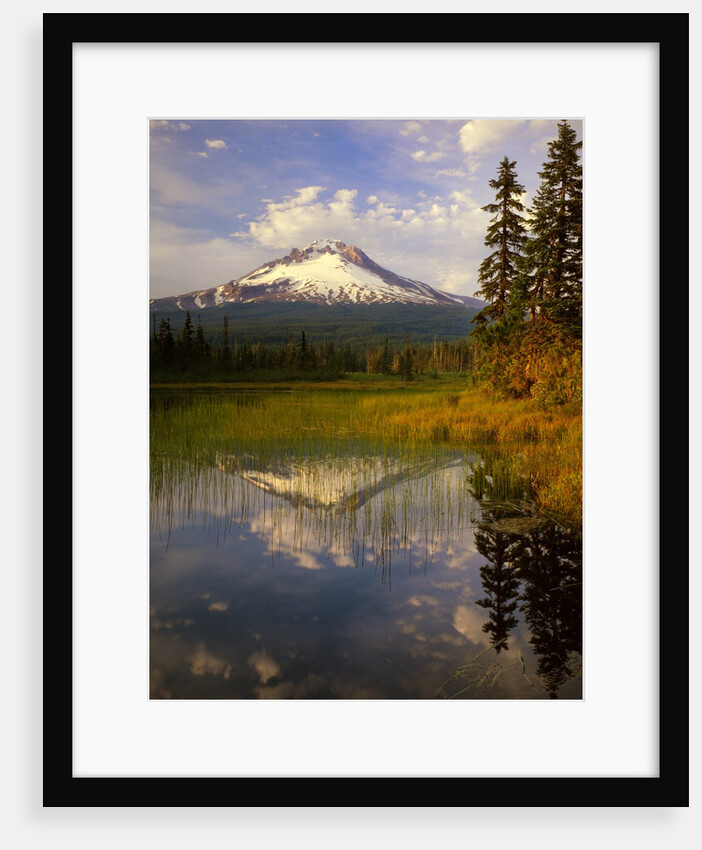 Mt. Hood reflection by Anonymous