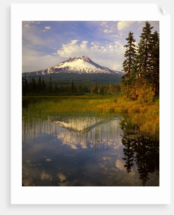 Mt. Hood reflection by Anonymous