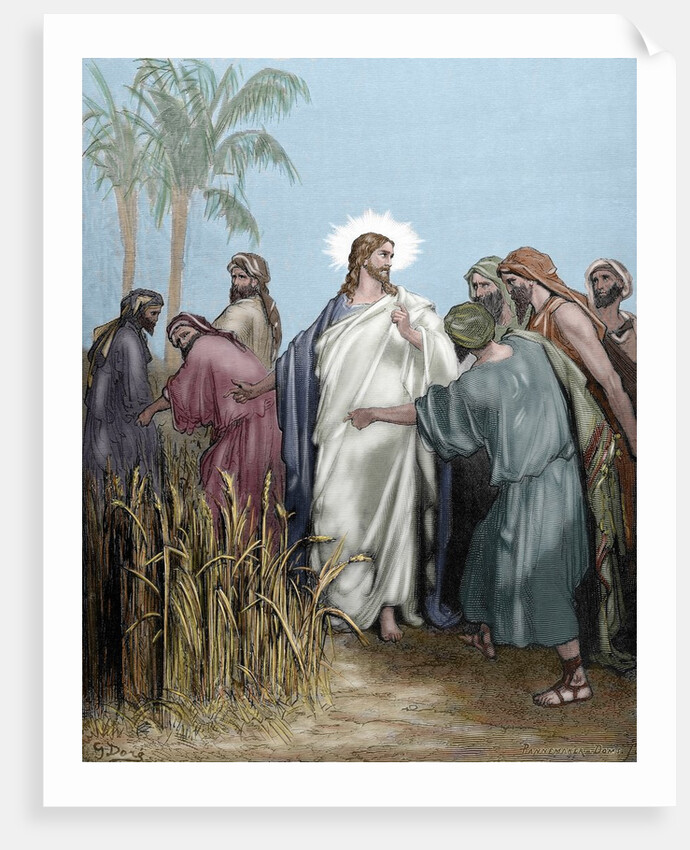 The apostles gathered ears in the day of rest. Engraving. Colored. by Anonymous