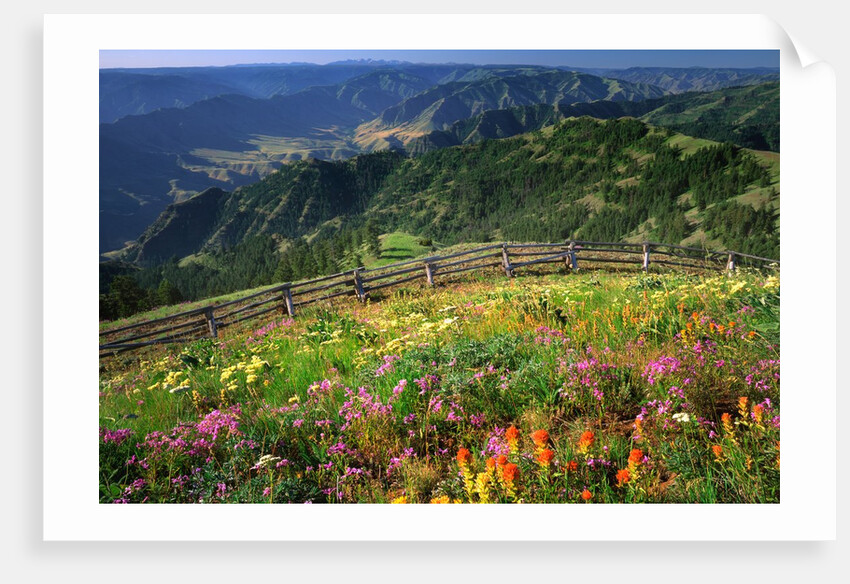 Buckhorn Viewpoint & Imnaha River Valley by Anonymous