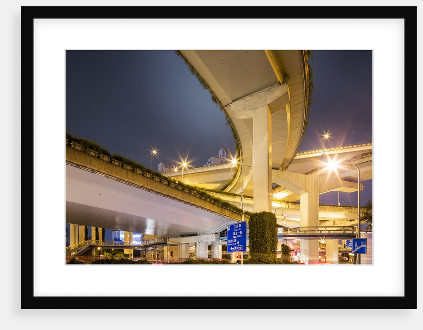 Highway Overpass, Shanghai, China by Anonymous