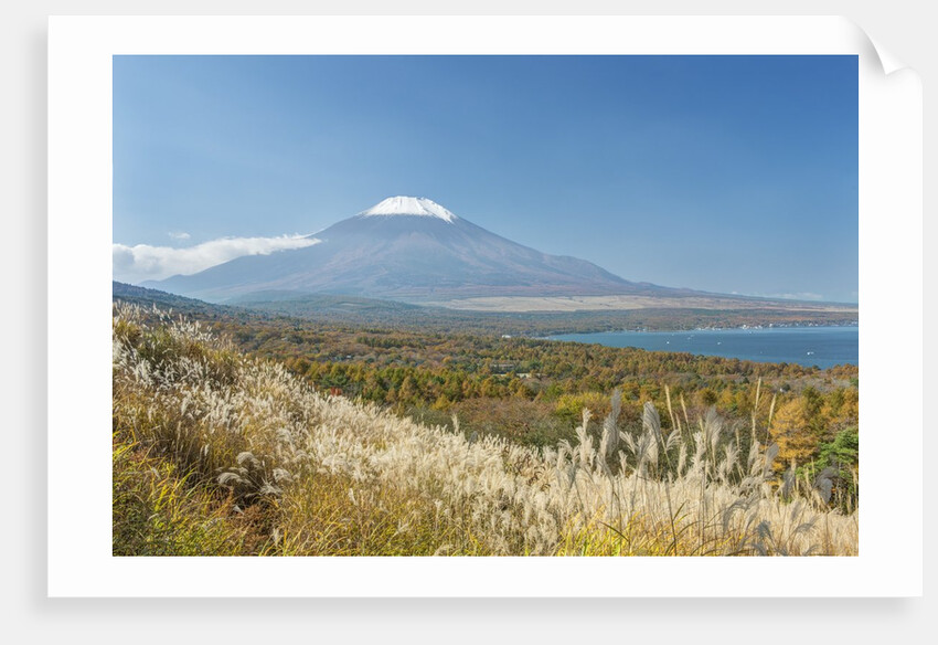 Lake Yamanaka & Mt. Fuji by Anonymous