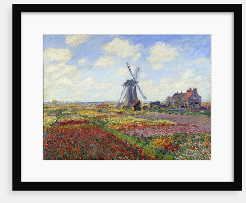 Tulip Fields in Holland by Claude Monet