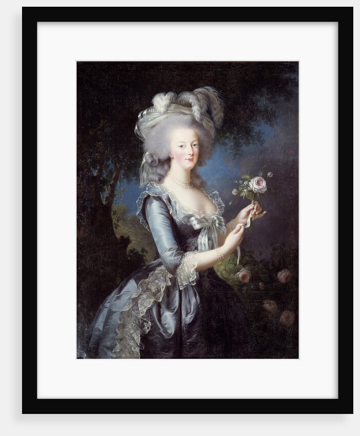 Marie-Antoinette with a Rose by Elisabeth Vigee-Lebrun