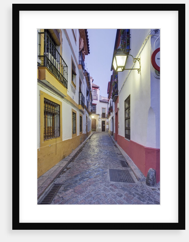 Medieval Alleyway by Anonymous