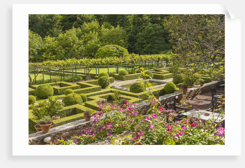 Badia a Coltibuono by Anonymous