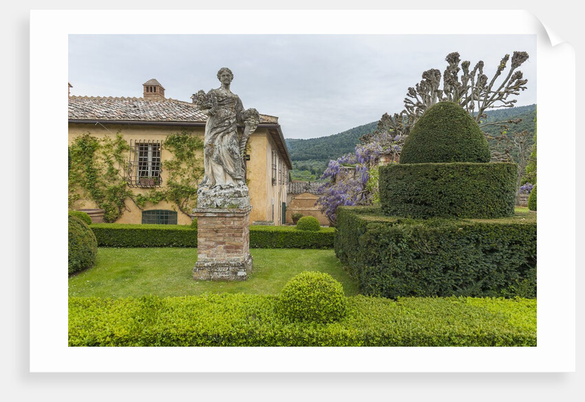 The garden of Villa Cetinale by Anonymous